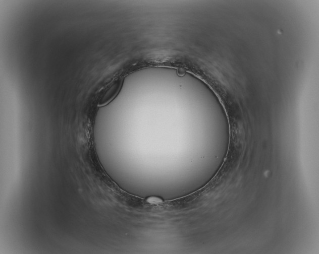 X0000111141349200907071041