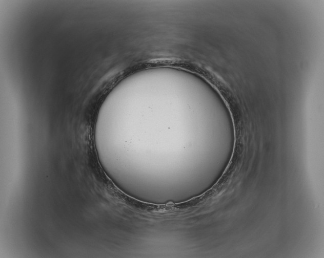 X0000111141351200907071041