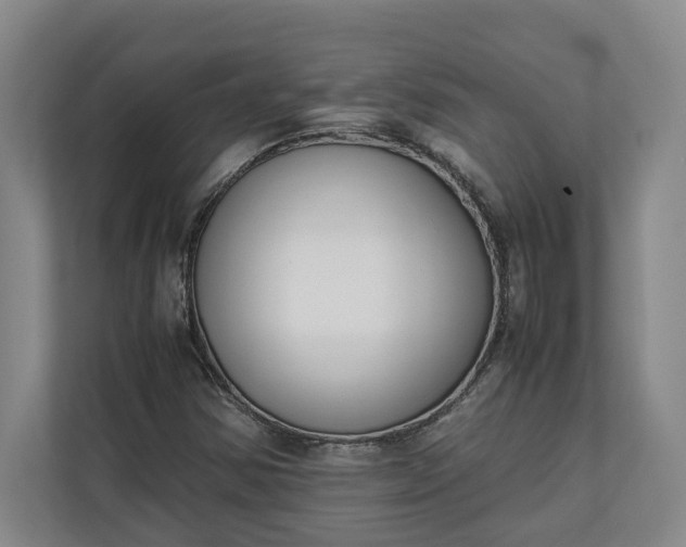 X0000111141354200907071040