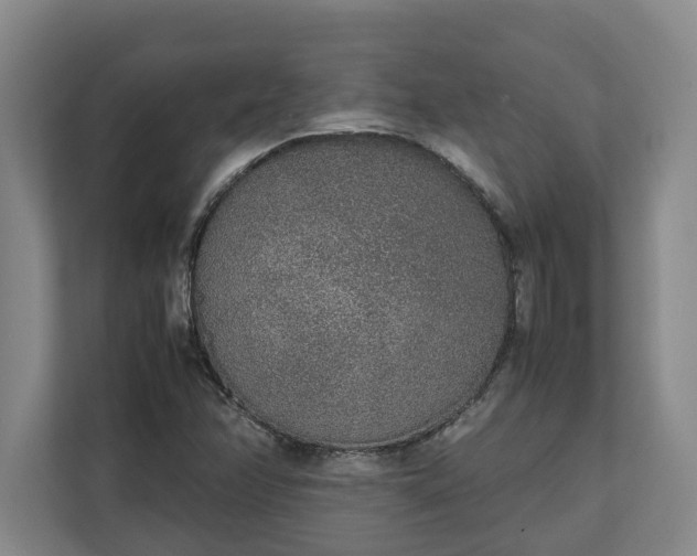 X0000111141358200907071040