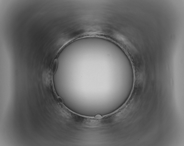 X0000111141361200907071040