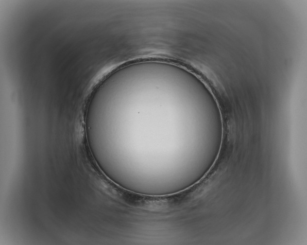 X0000111141363200907071040