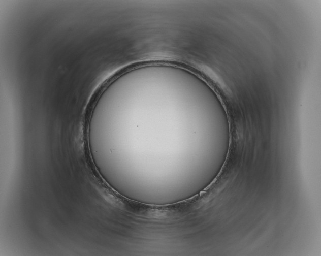 X0000111141364200907071040