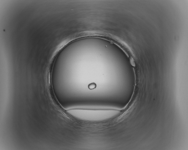 X0000111141365200907071040