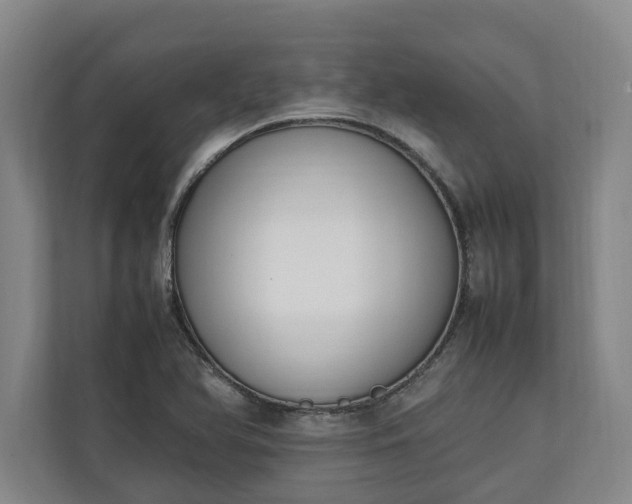 X0000111141366200907071040