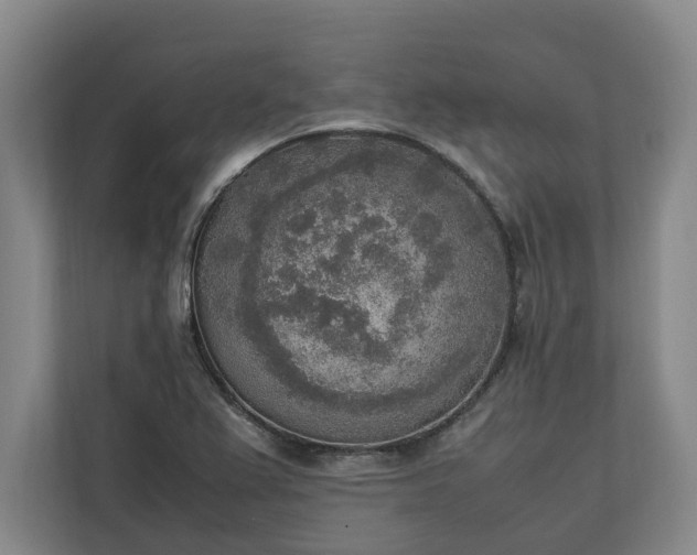 X0000111141367200907071040