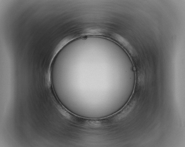 X0000111141370200907071040