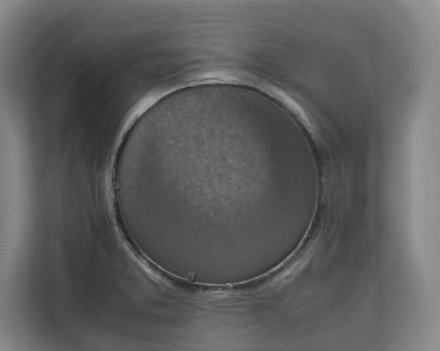 X0000111141373200907071040