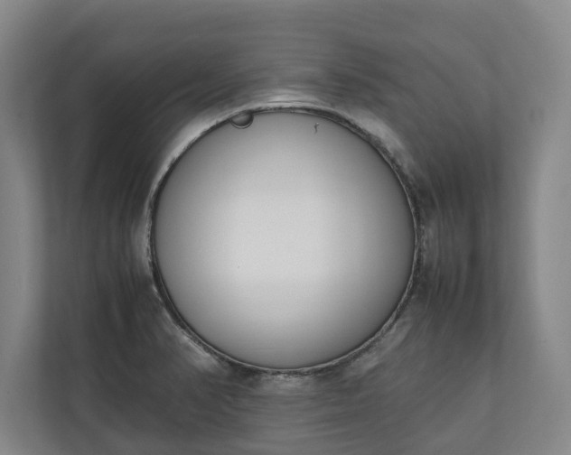 X0000111141374200907071040