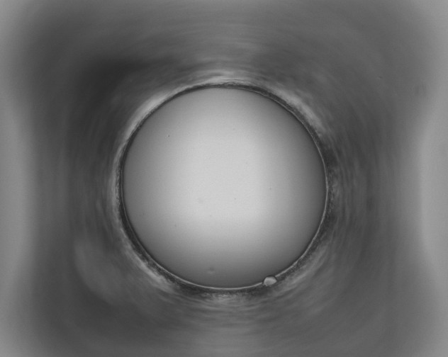 X0000111141375200907071040