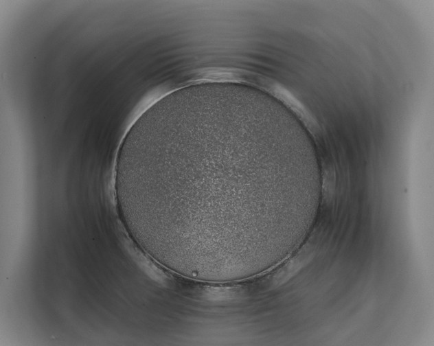 X0000111141378200907071040