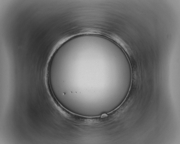 X0000111141379200907071040