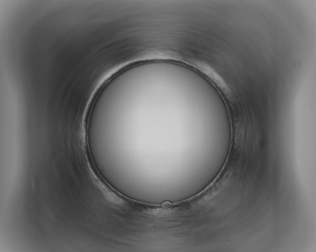 X0000111141380200907071040