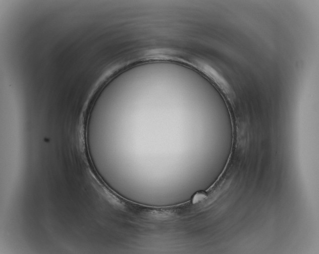 X0000111141384200907071040