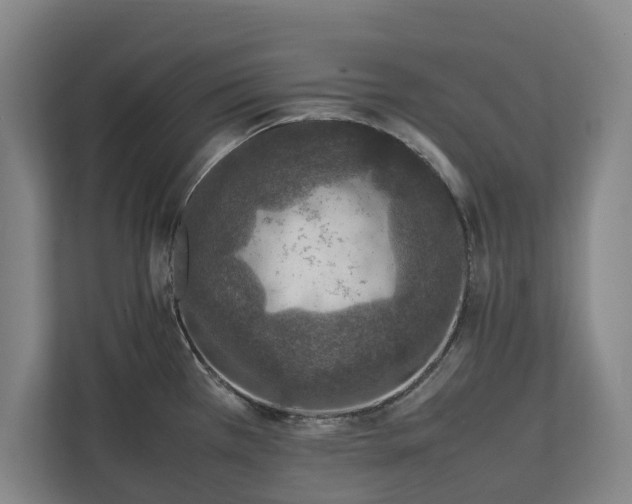 X0000111141385200907071040