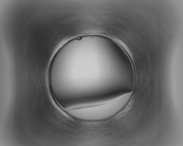 X0000111141389200907071040