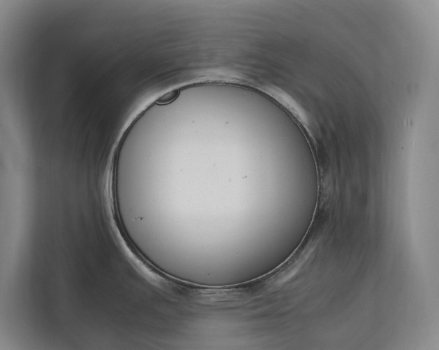 X0000111141391200907071040