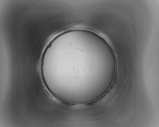 X0000111141392200907071040