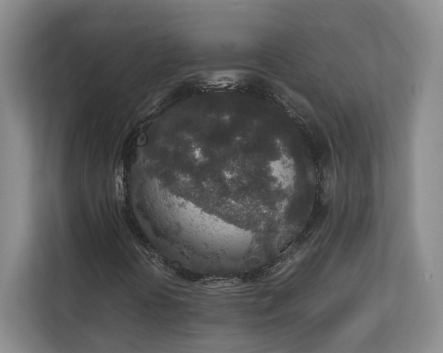 X0000111141394200907071039