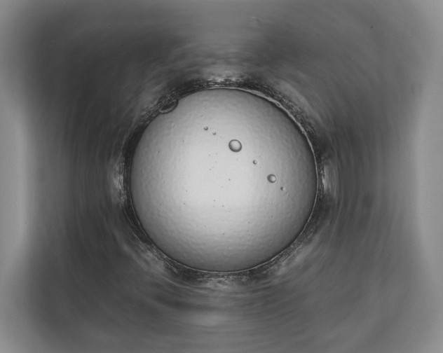 X0000111141396200907071039