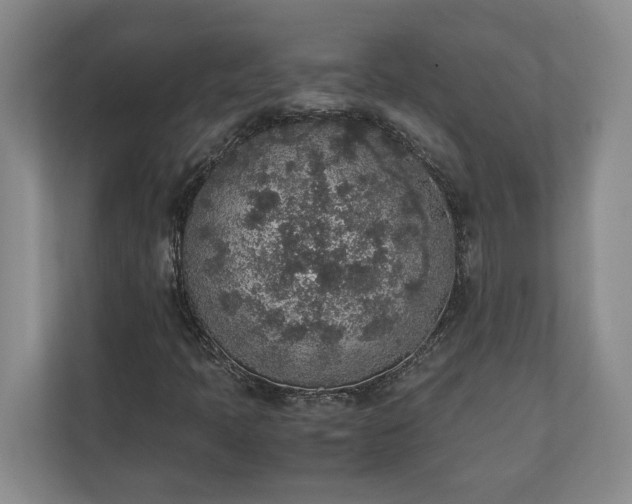 X0000111141397200907071039