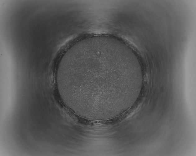 X0000111141398200907071039