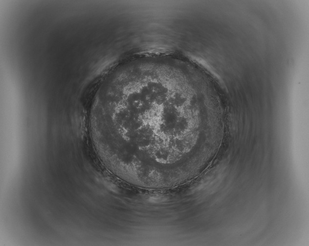 X0000111141399200907071039