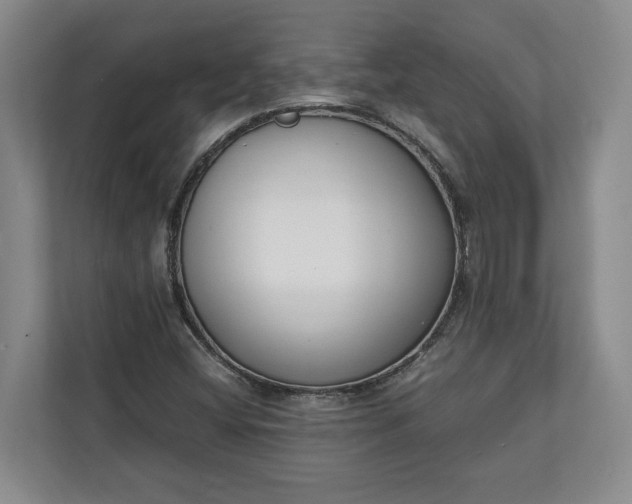 X0000111141404200907071039