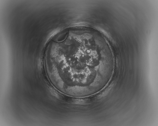 X0000111141405200907071040