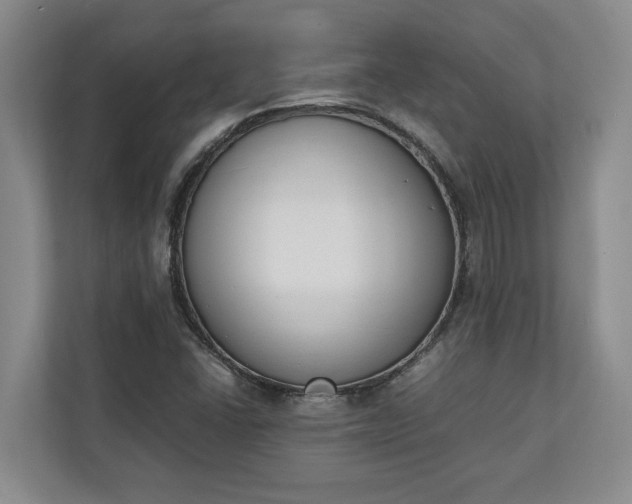 X0000111141406200907071040