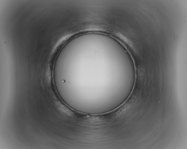 X0000111141408200907071040