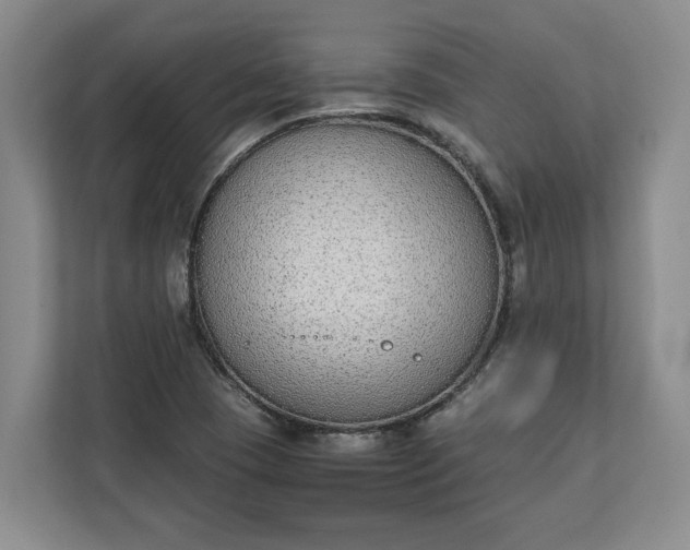 X0000111141409200907071040