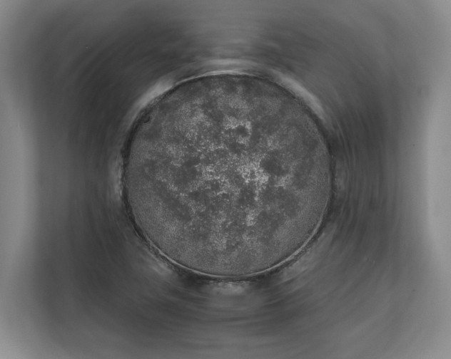 X0000111141411200907071040