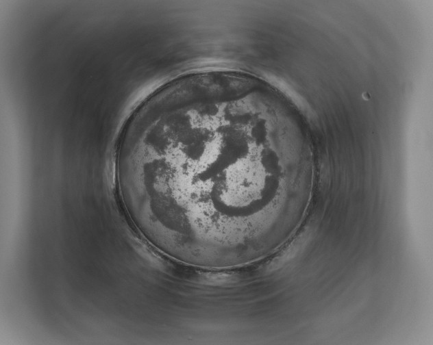 X0000111141413200907071040