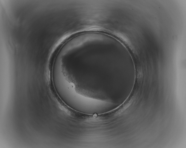 X0000111141414200907071040