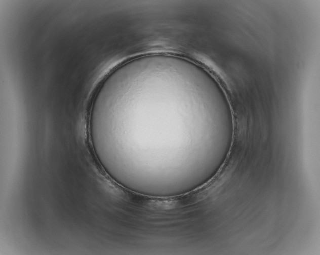 X0000111141415200907071040