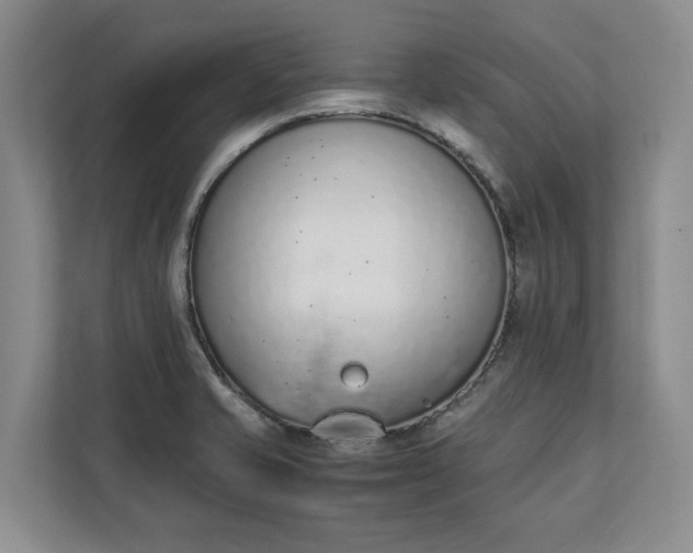 X0000111141421200907071040