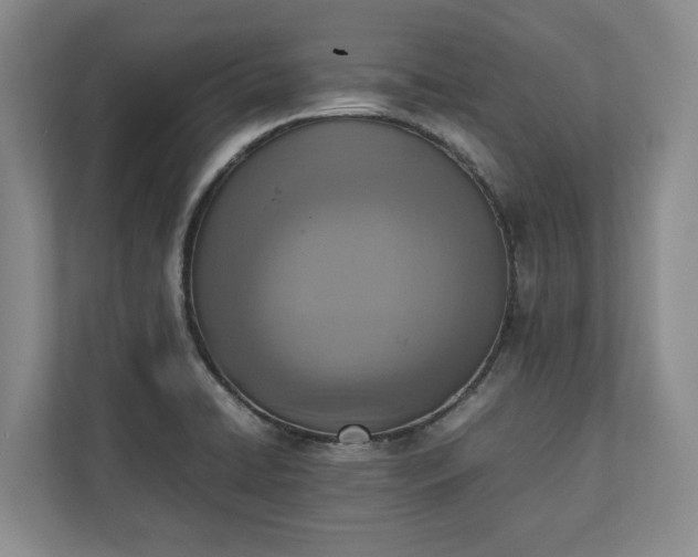 X0000111141422200907071040