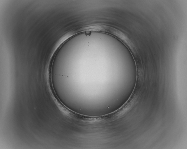 X0000111141426200907071040