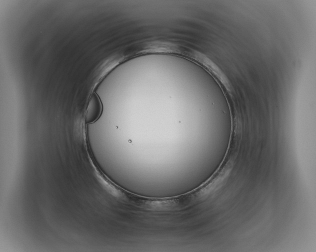 X0000111141433200907071040