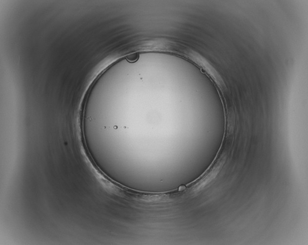 X0000111141434200907071040