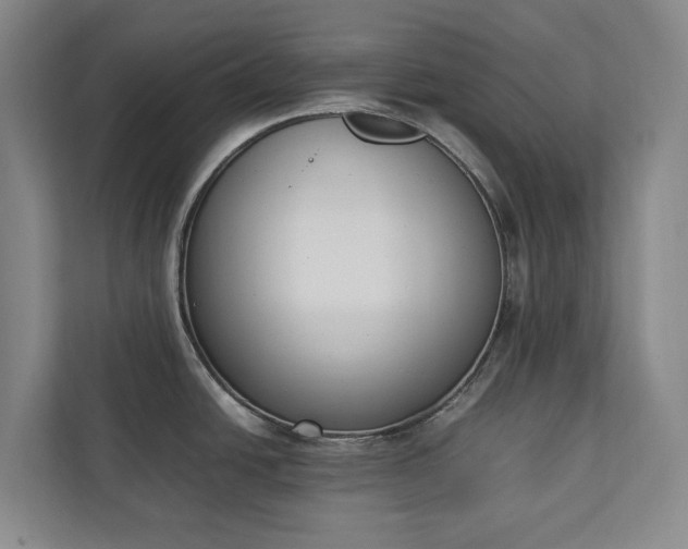 X0000111141438200907071040