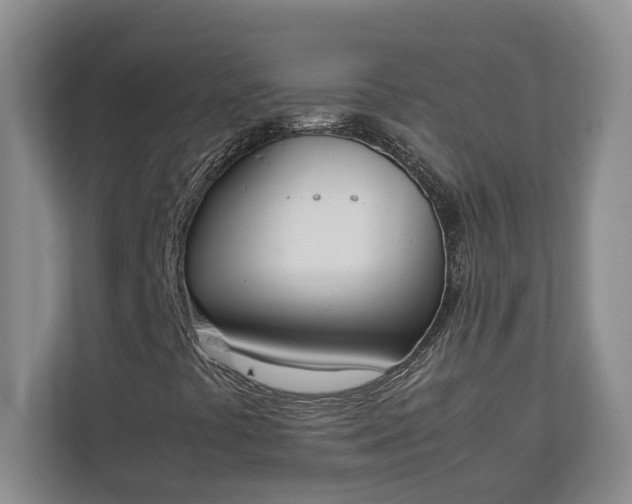 X0000111141441200907071039