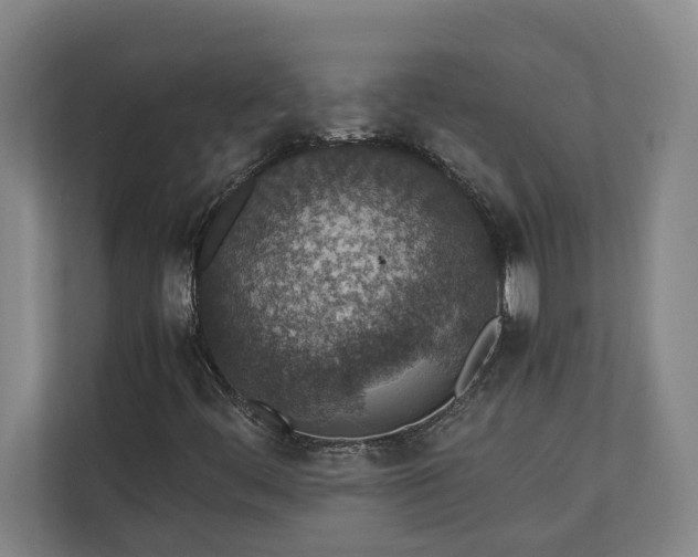 X0000111141444200907071039