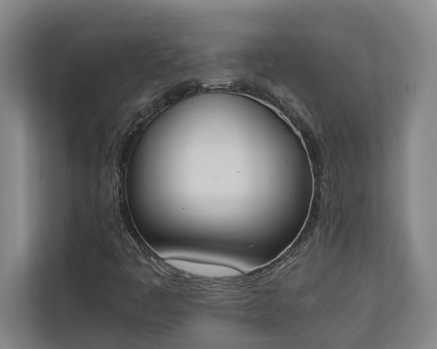 X0000111141445200907071039