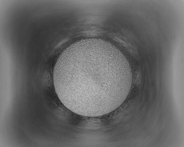 X0000111141446200907071039