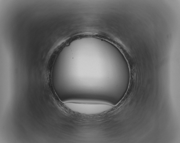 X0000111141448200907071039