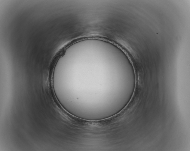 X0000111141452200907071039