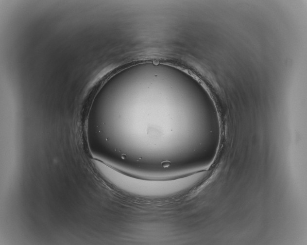 X0000111141453200907071039