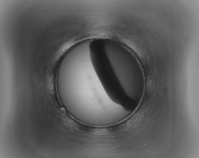 X0000111141455200907071039